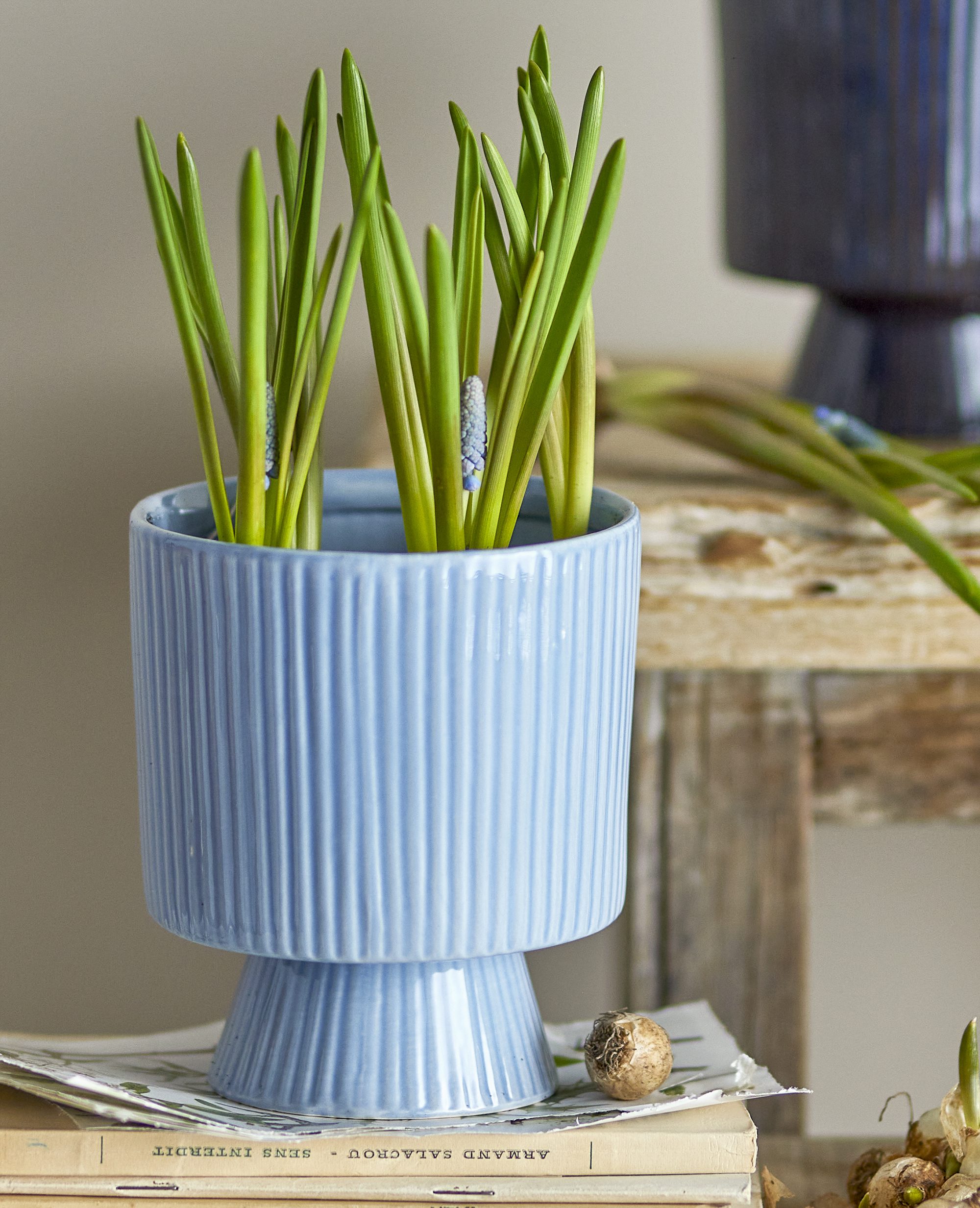 Cache-pot – Ayleen bleu – Image 2