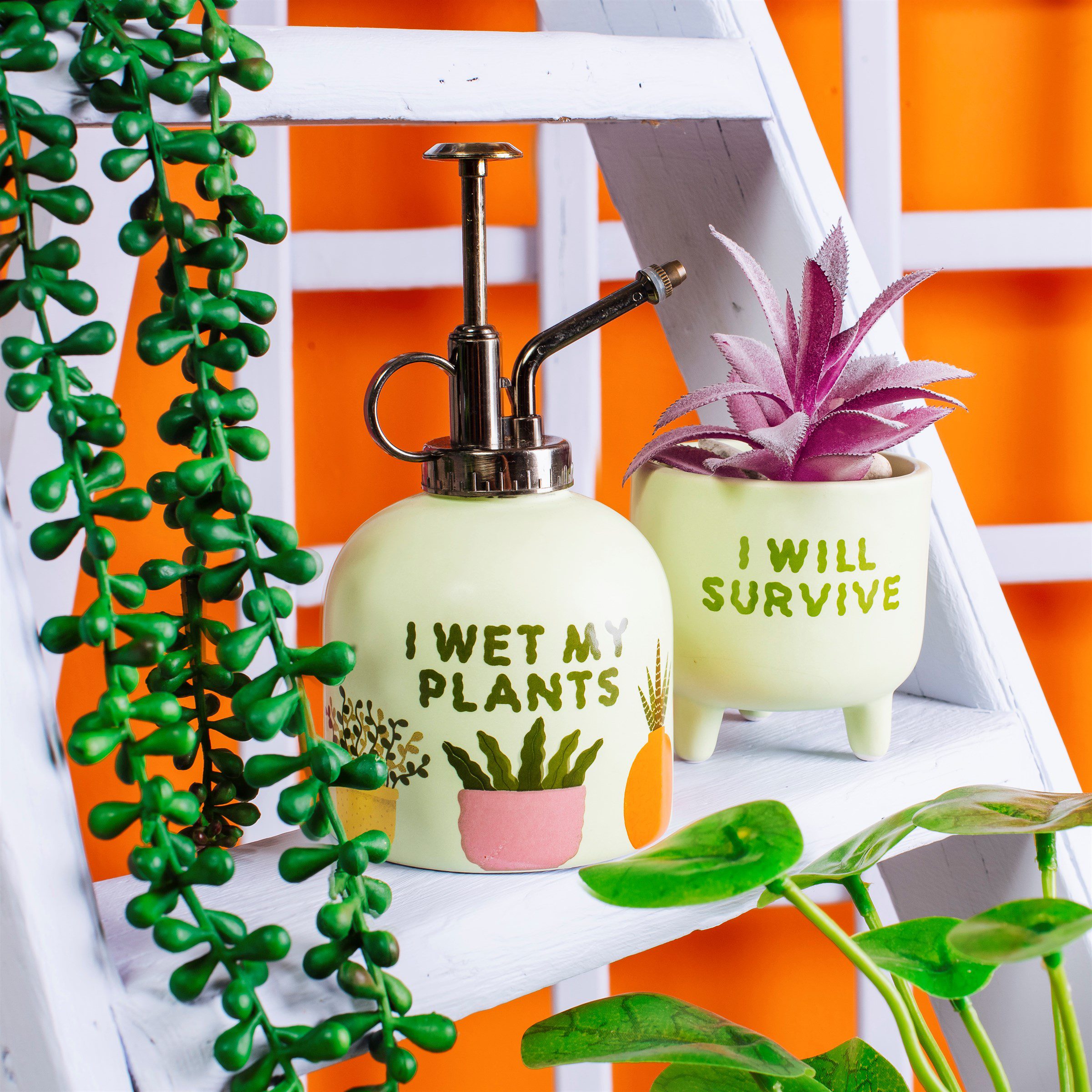Brumisateur pour plantes – I Wet My Plants – Image 2