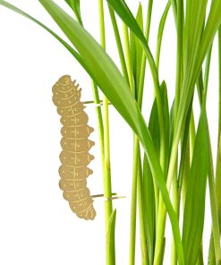 Déco pour plante – Chenille