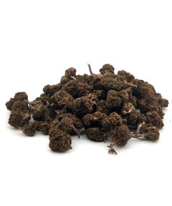 Cannatonic greenhouse