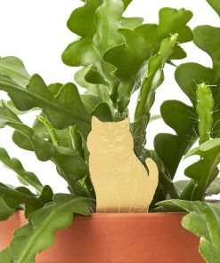 Déco pour plante – Chat
