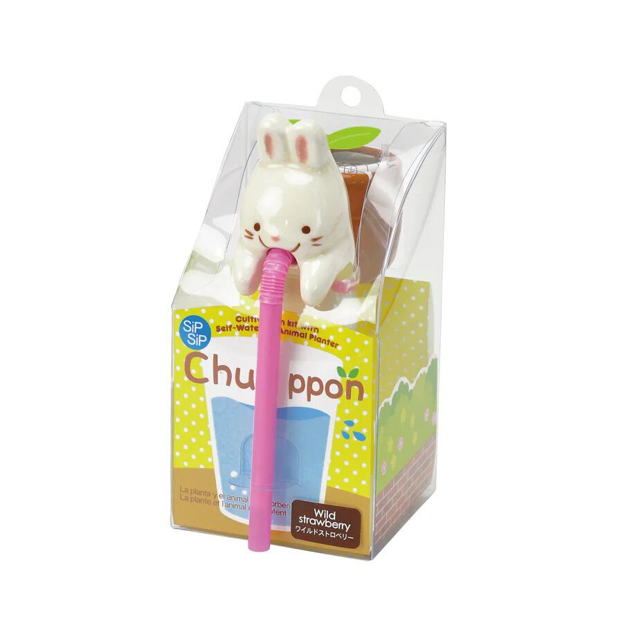Chuppon – Lapin