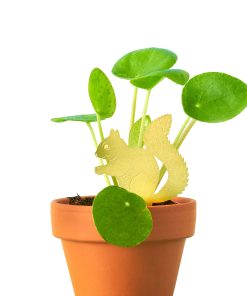 Déco pour plante – Écureuil