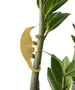 Déco pour plante – Fourmilier