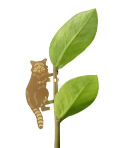 Déco pour plante – Raton laveur