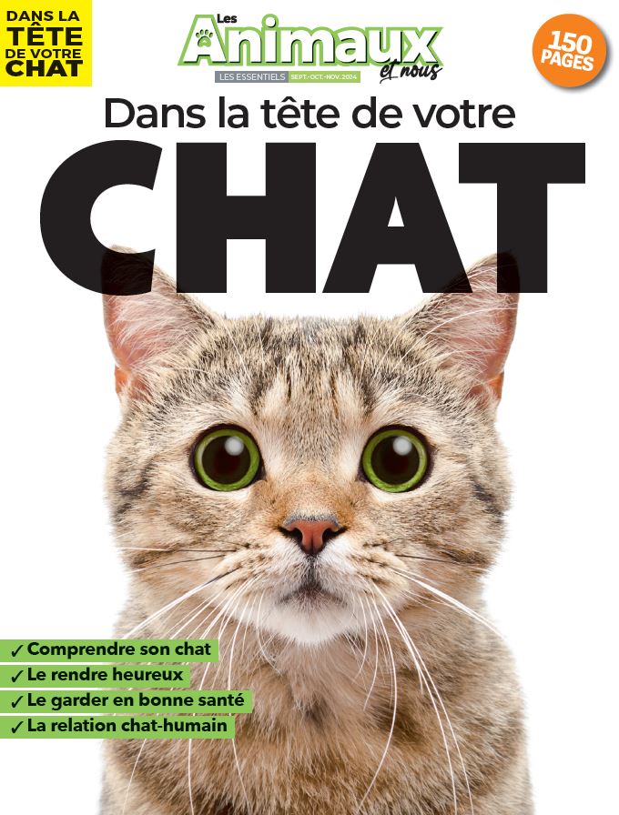 Dans la tête de votre chat – Version numérique
